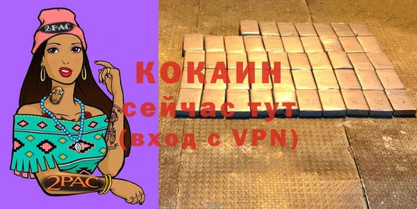 индика Приозерск