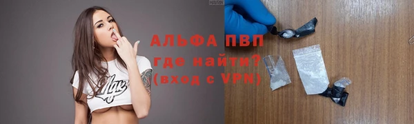 индика Приозерск