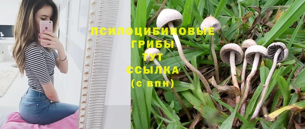 каннабис Аркадак